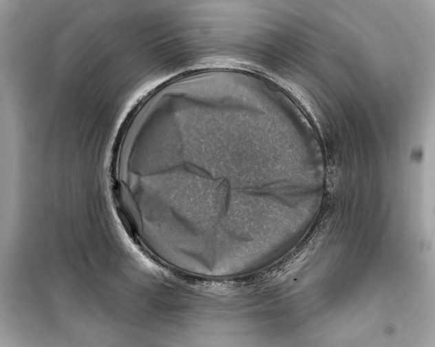 X0000098170995200805221511