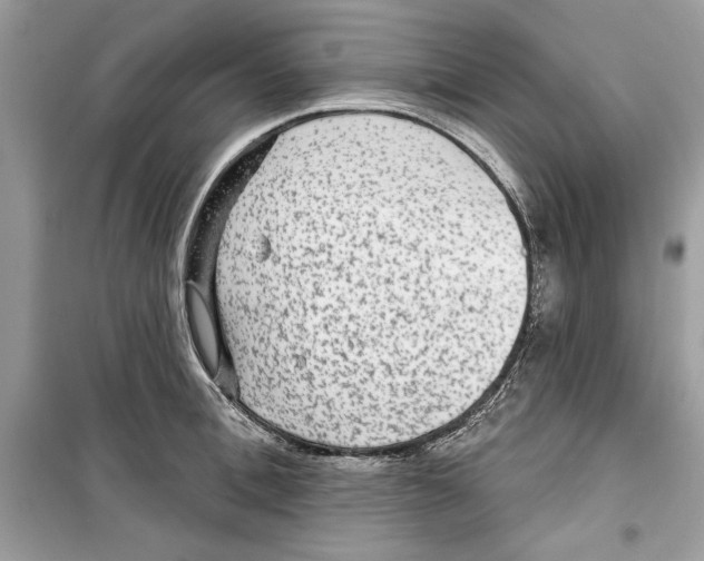 X0000098170996200805221511