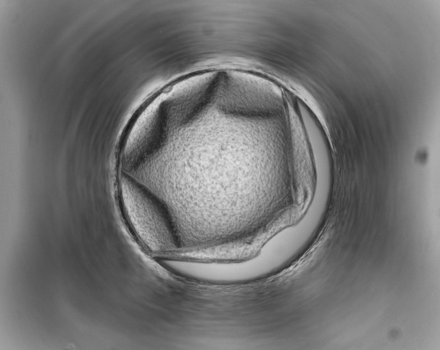 X0000098170997200805221511