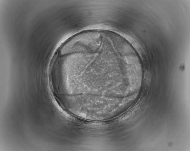 X0000098170998200805221511