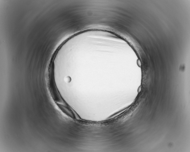 X0000098170999200805221511