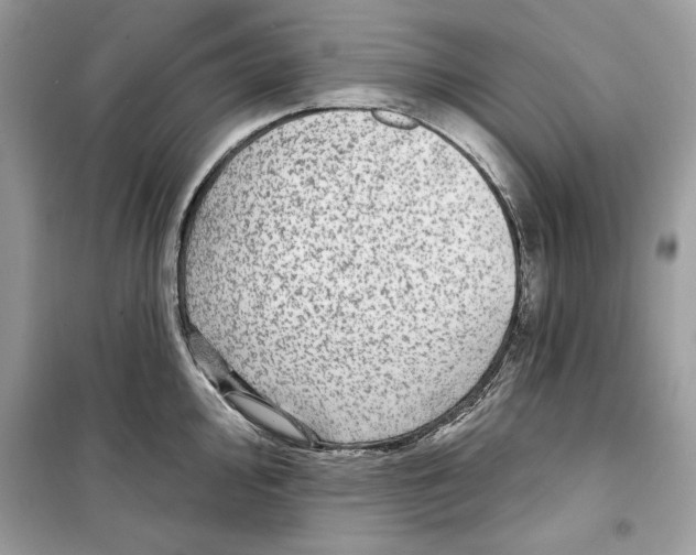 X0000098171000200805221511