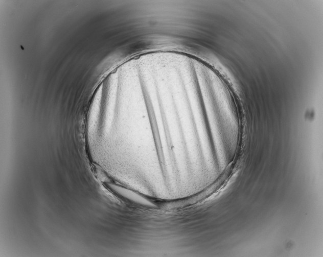 X0000098171001200805221511