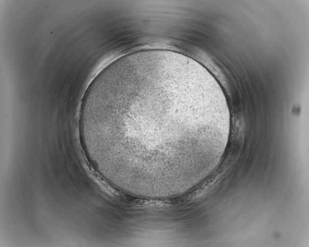 X0000098171002200805221511