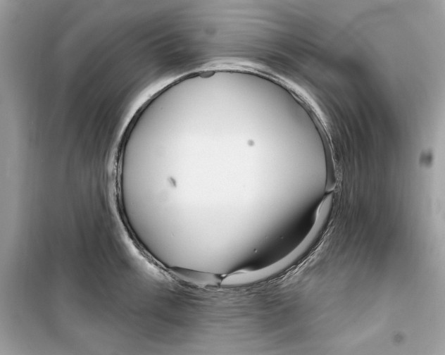 X0000098171003200805221511