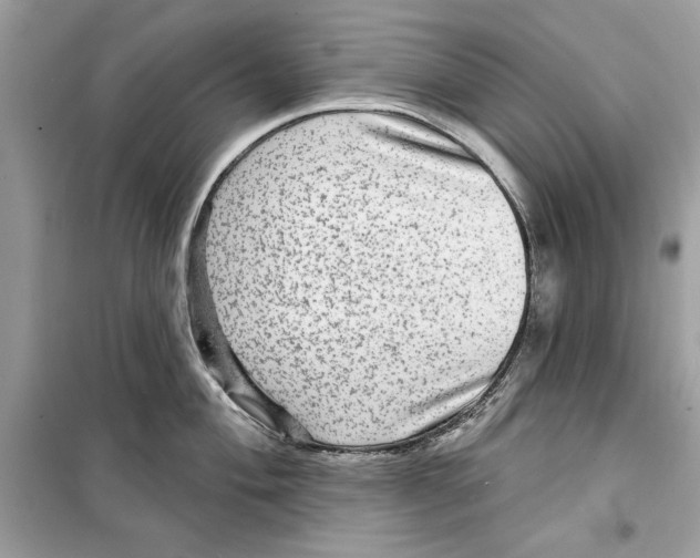 X0000098171004200805221511