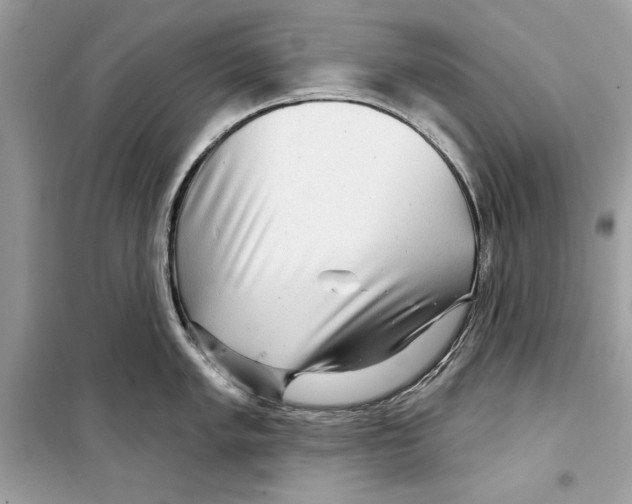 X0000098171005200805221511