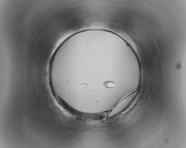 X0000098171006200805221511