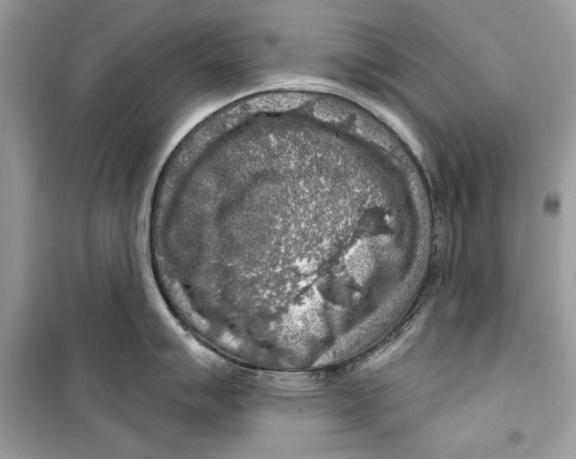 X0000098171007200805221511