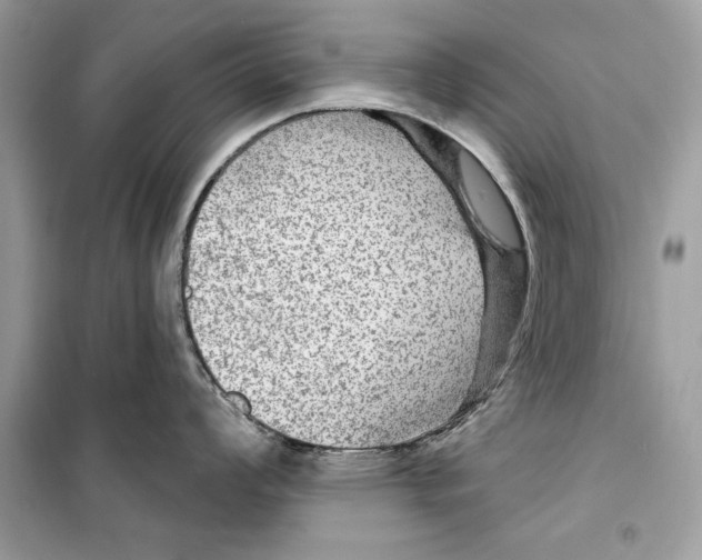 X0000098171008200805221511