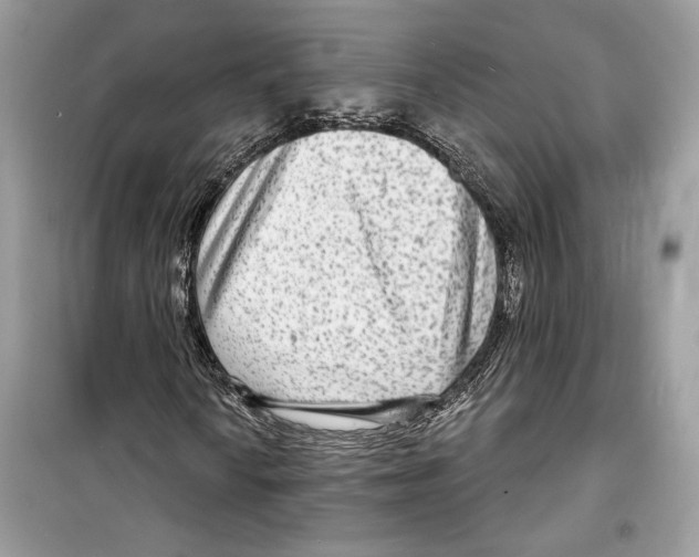 X0000098171010200805221510