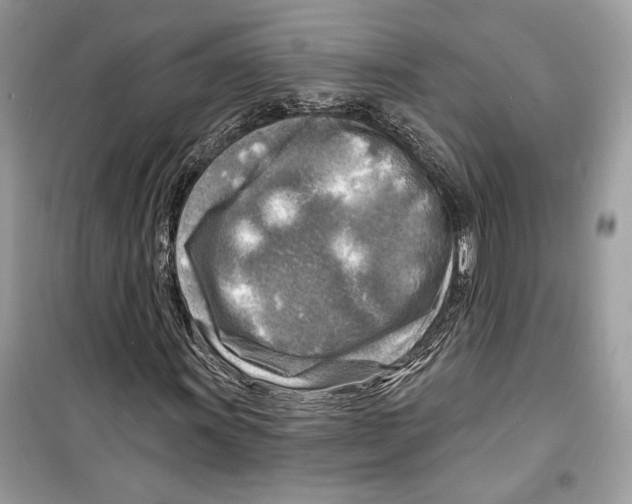 X0000098171011200805221510