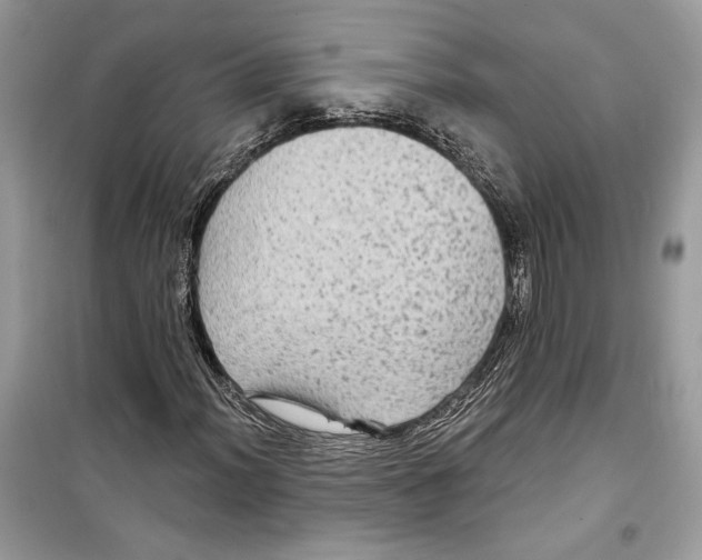 X0000098171012200805221510