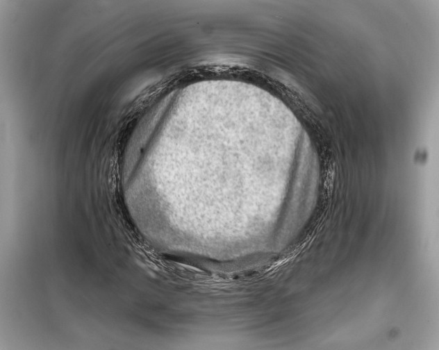 X0000098171014200805221510