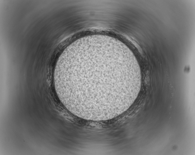 X0000098171015200805221510