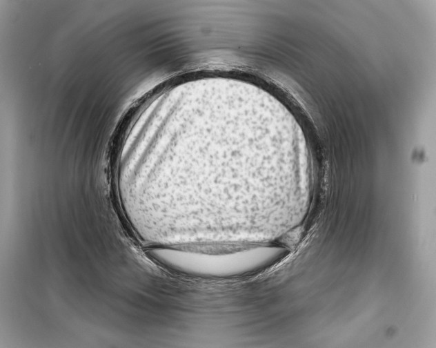 X0000098171018200805221510