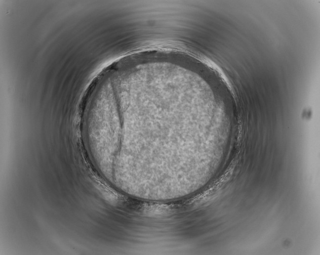 X0000098171019200805221510