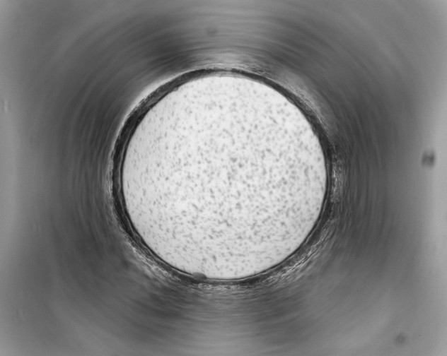 X0000098171020200805221510