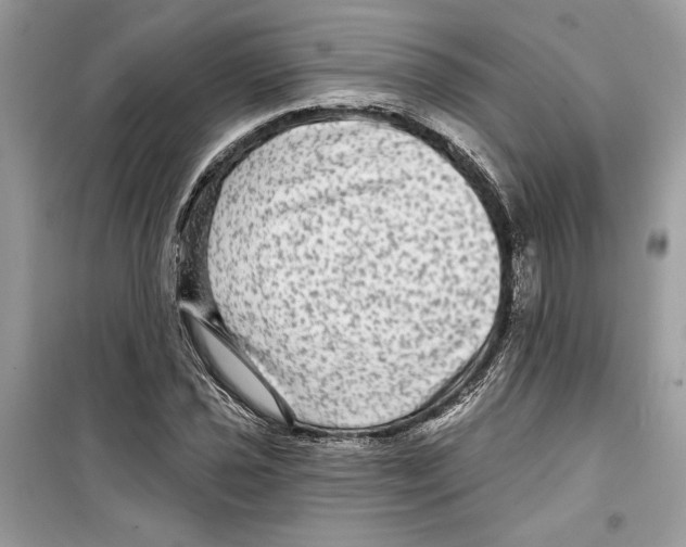 X0000098171021200805221511