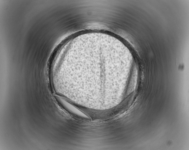 X0000098171022200805221511