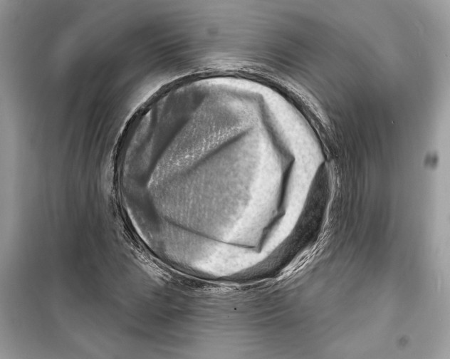 X0000098171023200805221511