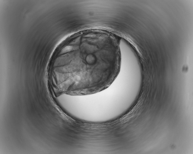 X0000098171024200805221511