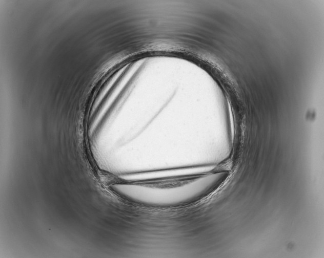 X0000098171025200805221511