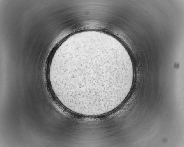 X0000098171026200805221511