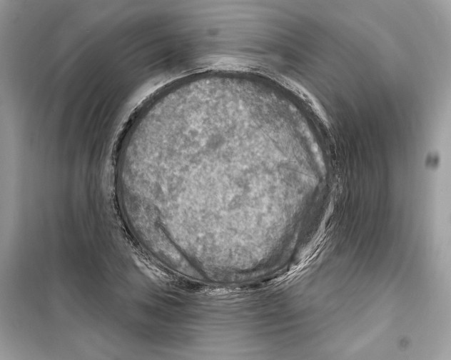 X0000098171027200805221511