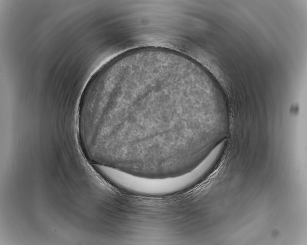 X0000098171028200805221511