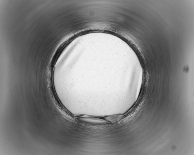 X0000098171029200805221511