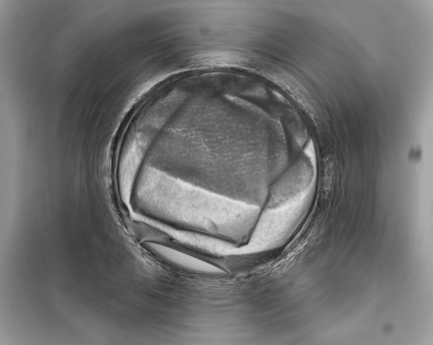 X0000098171031200805221511