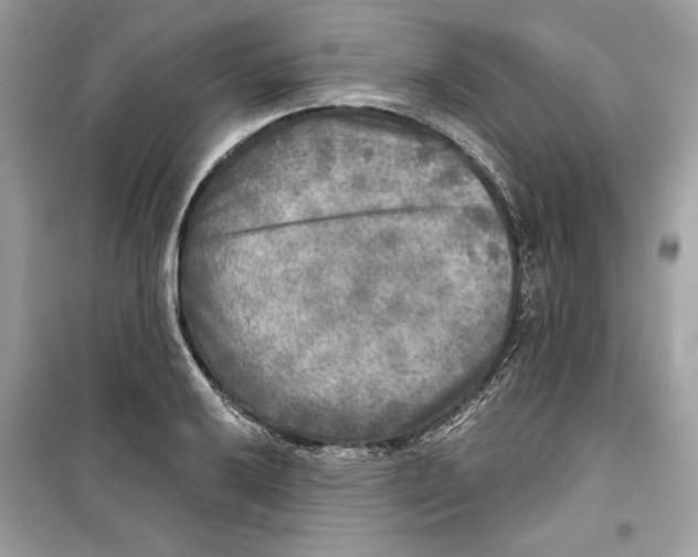 X0000098171032200805221511