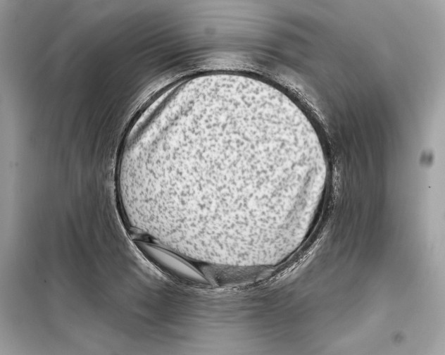 X0000098171033200805221511