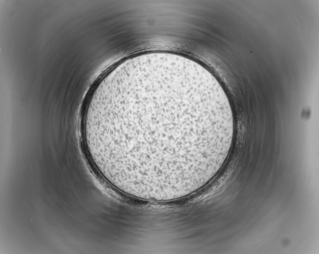 X0000098171034200805221511