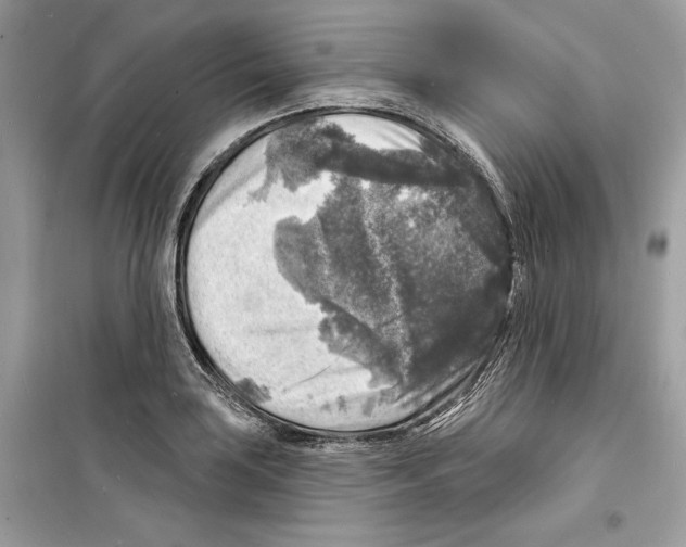 X0000098171035200805221511