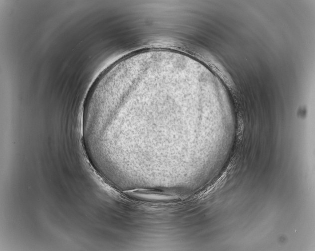 X0000098171036200805221511