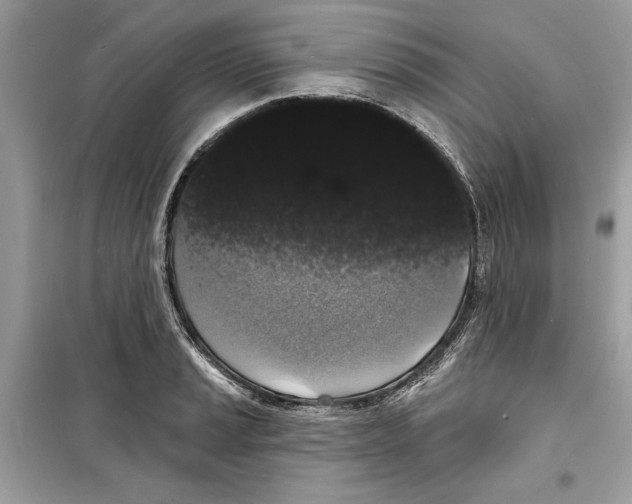 X0000098171037200805221511