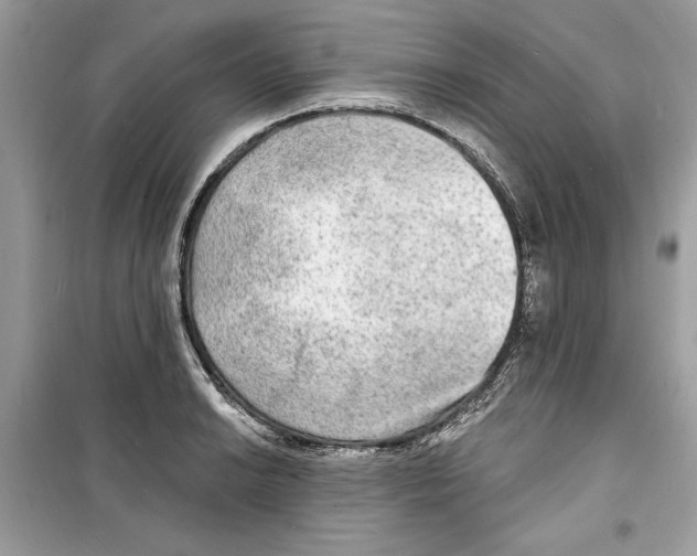 X0000098171038200805221511