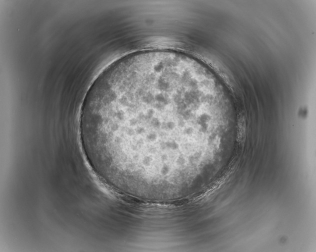 X0000098171039200805221511