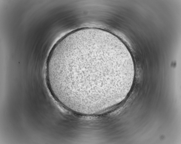 X0000098171040200805221511