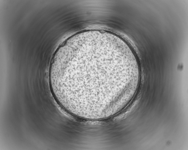 X0000098171041200805221511