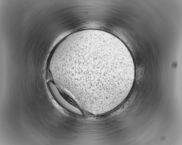 X0000098171042200805221511