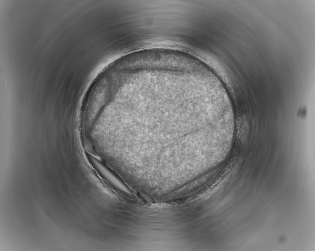 X0000098171043200805221511