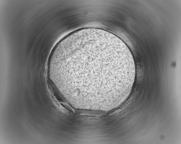 X0000098171044200805221511