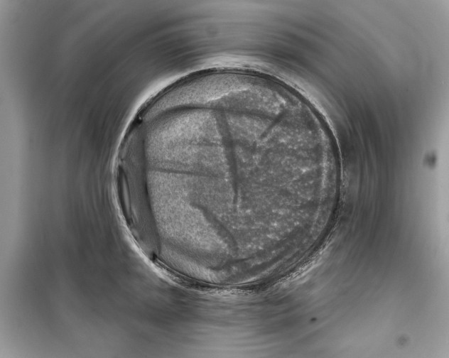 X0000098171045200805221511