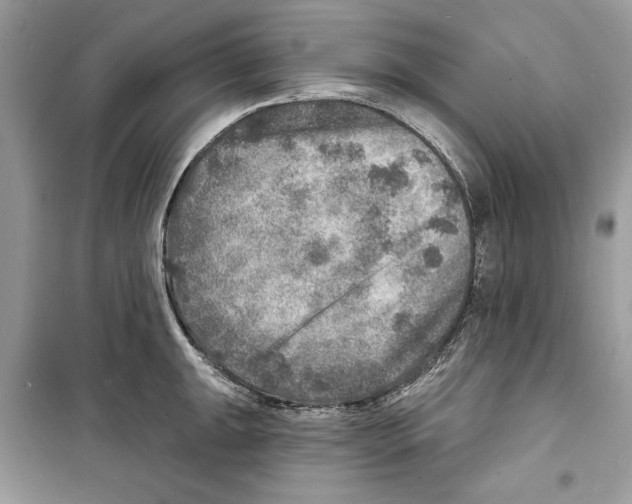 X0000098171047200805221511