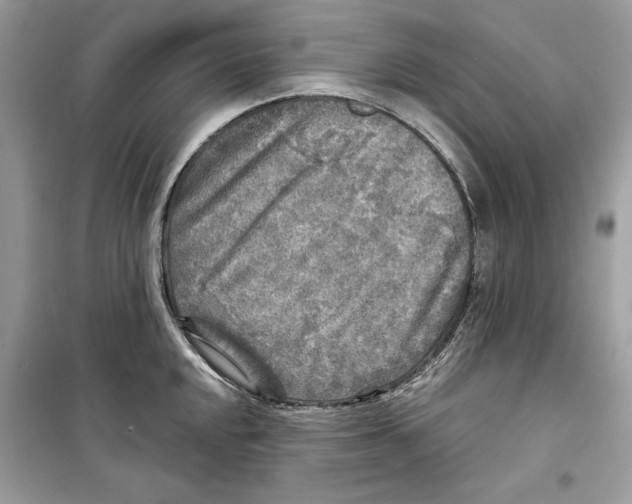 X0000098171048200805221511