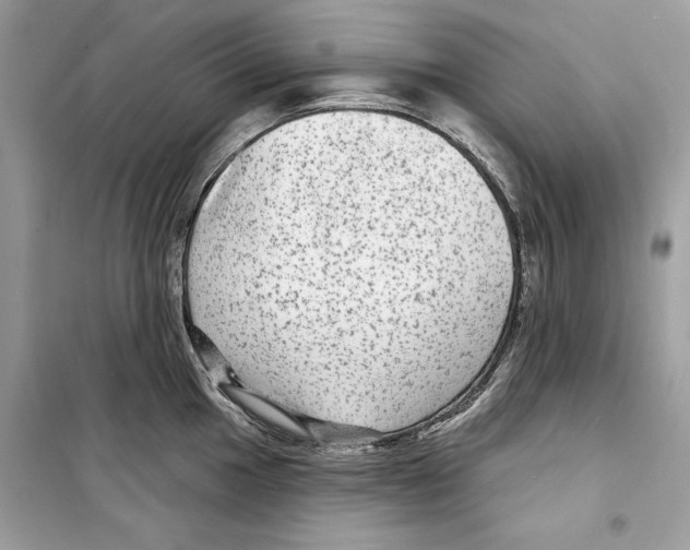 X0000098171049200805221511