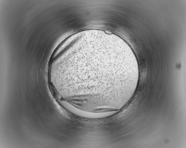 X0000098171050200805221511